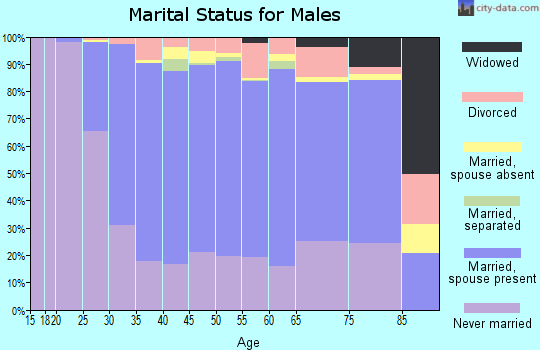 Zip code 60302 marital status for males