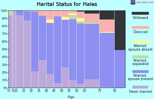 Zip code 60304 marital status for males