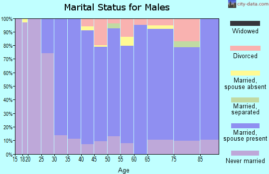 Zip code 60305 marital status for males