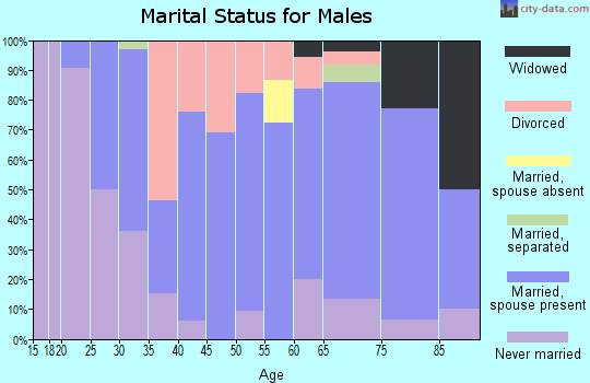 Zip code 60401 marital status for males