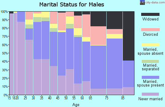 Zip code 60406 marital status for males
