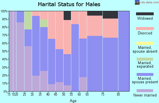 Zip code 60407 marital status for males