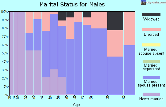 Zip code 60408 marital status for males
