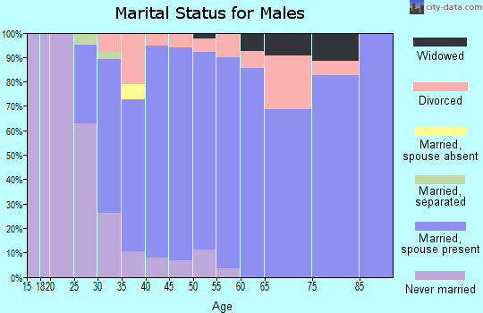 Zip code 60410 marital status for males