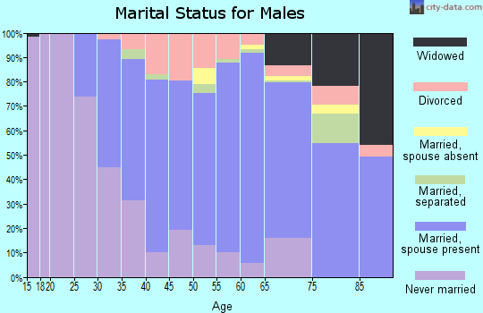 Zip code 60430 marital status for males