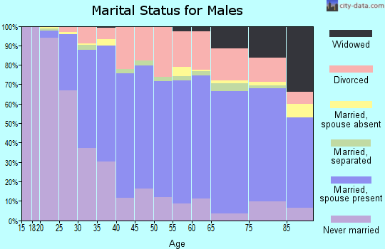 Zip code 60435 marital status for males
