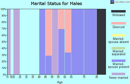 Zip code 60437 marital status for males