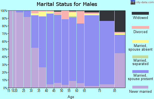 Zip code 60439 marital status for males