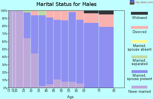 Zip code 60447 marital status for males