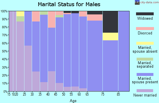 Zip code 60449 marital status for males