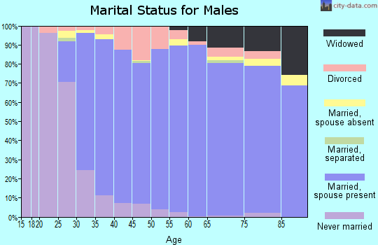 Zip code 60451 marital status for males