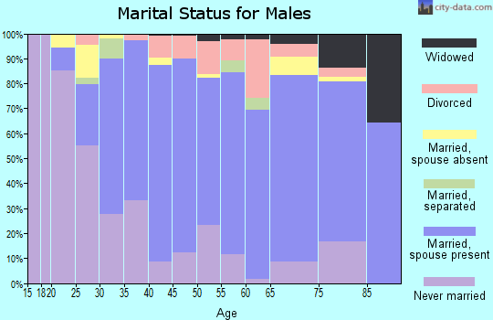 Zip code 60452 marital status for males