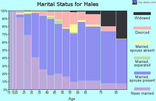 Zip code 60453 marital status for males
