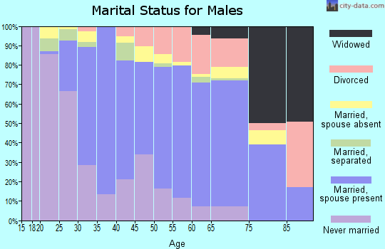 Zip code 60455 marital status for males