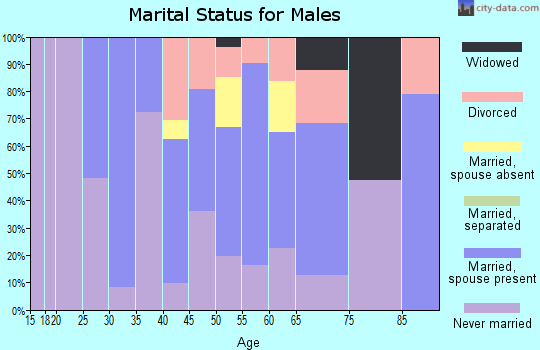 Zip code 60456 marital status for males