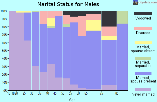 Zip code 60457 marital status for males