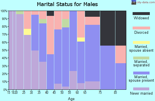 Zip code 60460 marital status for males
