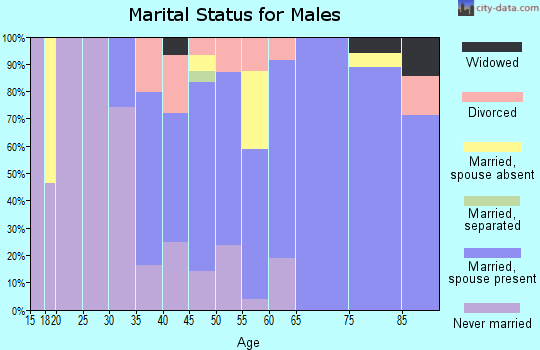 Zip code 60461 marital status for males