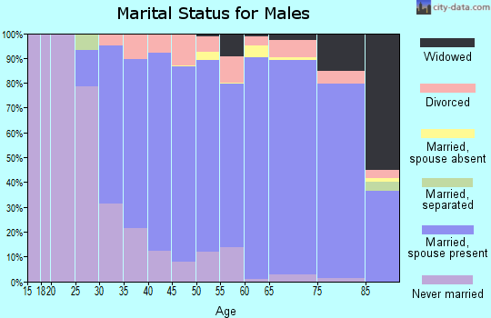 Zip code 60463 marital status for males