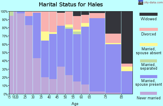 Zip code 60465 marital status for males
