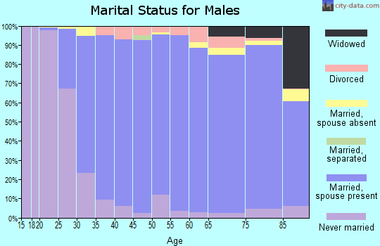Zip code 60467 marital status for males