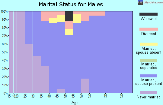 Zip code 60468 marital status for males