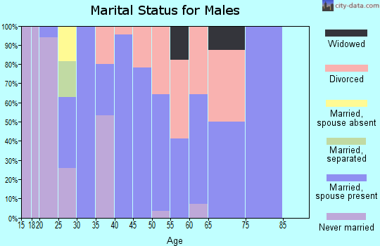Zip code 60470 marital status for males