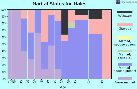 Zip code 60474 marital status for males