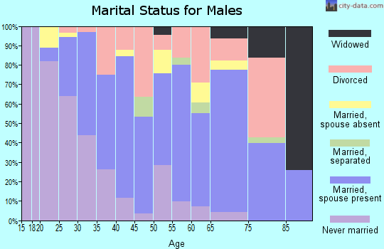 Zip code 60475 marital status for males
