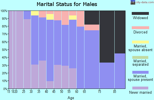 Zip code 60476 marital status for males