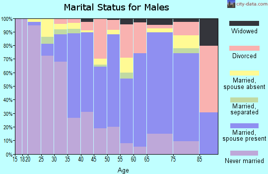 Zip code 60478 marital status for males