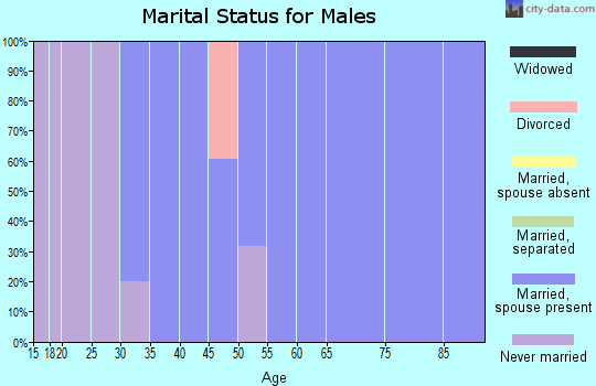 Zip code 60479 marital status for males