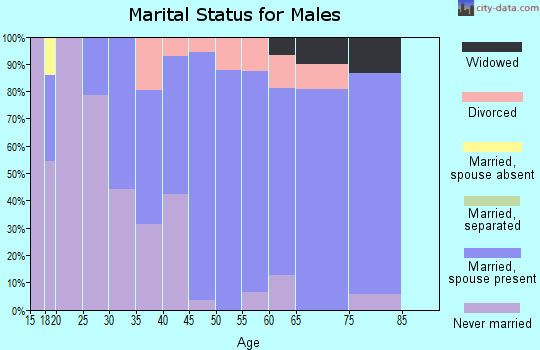 Zip code 60480 marital status for males
