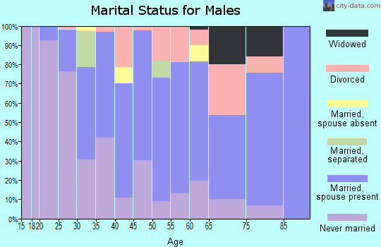 Zip code 60482 marital status for males