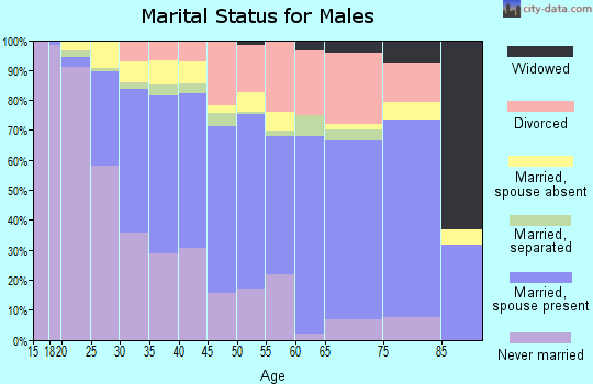 Zip code 60505 marital status for males