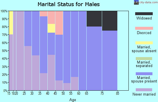 Zip code 60537 marital status for males