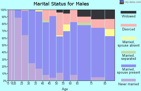 Zip code 60538 marital status for males