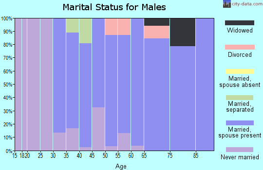 Zip code 60553 marital status for males