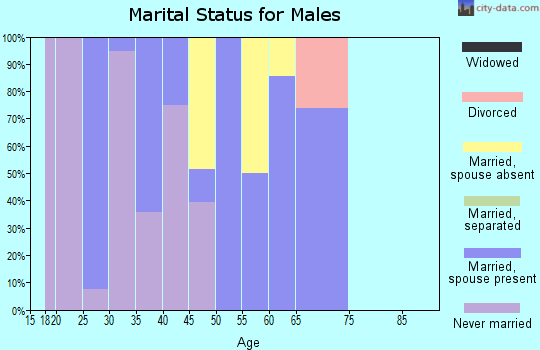 Zip code 60603 marital status for males
