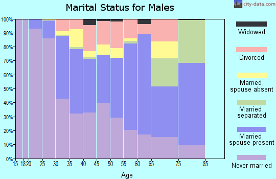 Zip code 60605 marital status for males