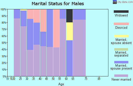 Zip code 60606 marital status for males