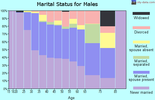 Zip code 60607 marital status for males