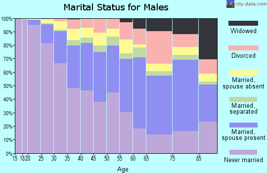 Zip code 60608 marital status for males