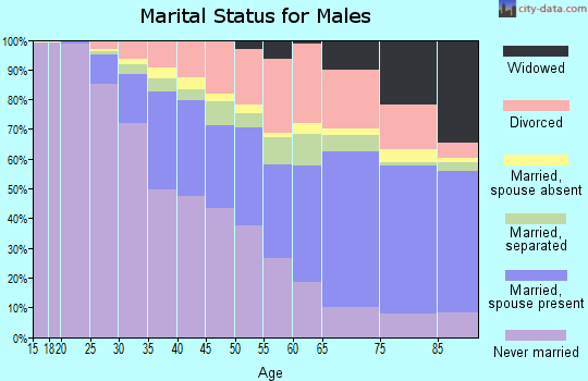 Zip code 60628 marital status for males