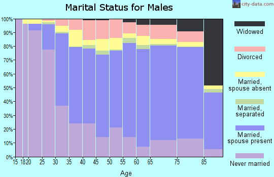 Zip code 60634 marital status for males