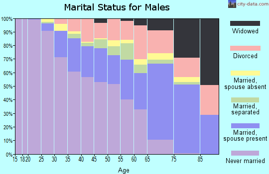 Zip code 60636 marital status for males