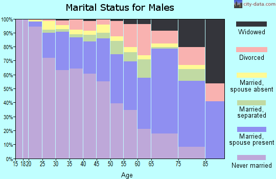 Zip code 60651 marital status for males