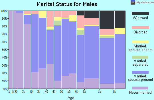 Zip code 60706 marital status for males