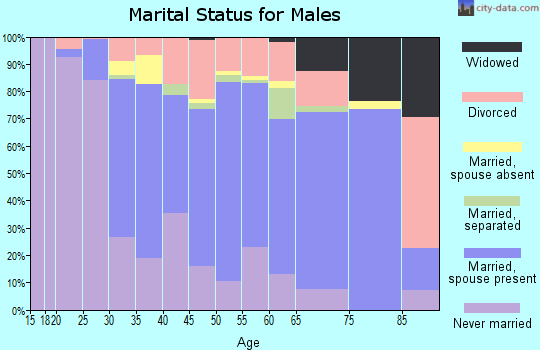 Zip code 60803 marital status for males