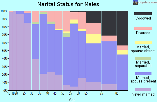 Zip code 60805 marital status for males